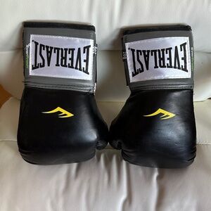 Everlast Boxing Gloves